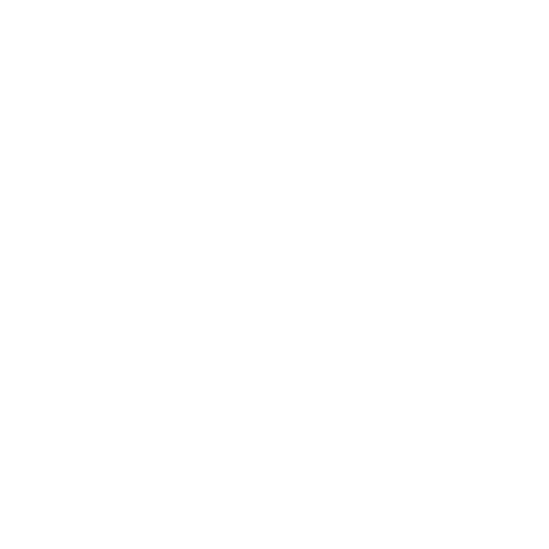 Canadian Tire