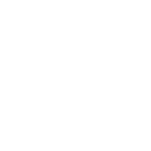 Virgin Mobile