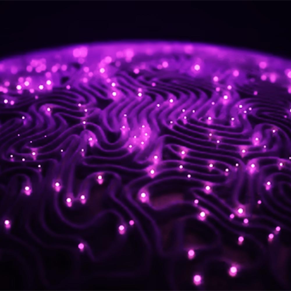 Data Transformation for Enterprise AI