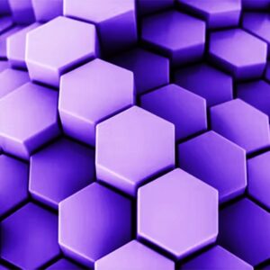 data governance framework